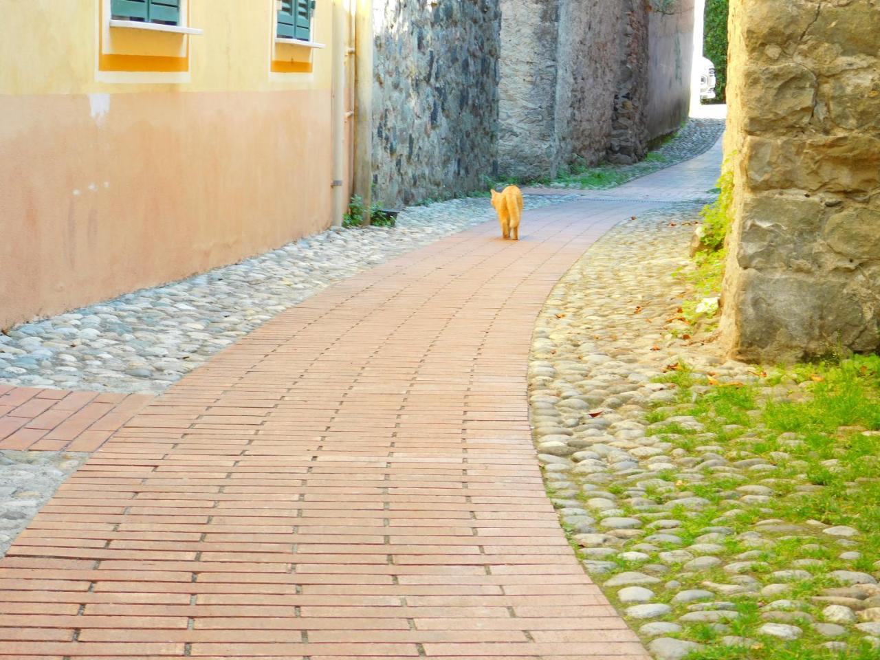 레반토 Bellissima Casa Nel Centro Storico!!! 아파트 외부 사진